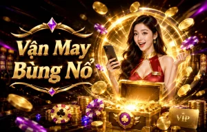 casino live nổi bật